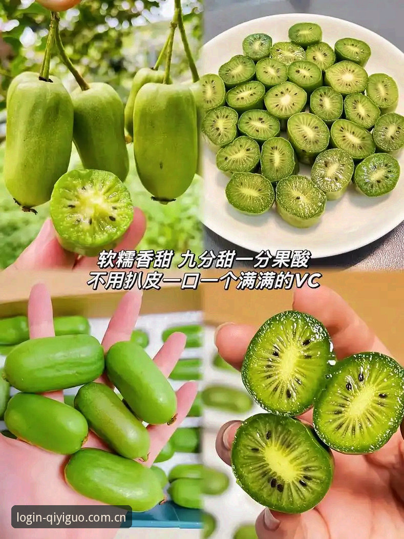 奇异果体育APP 揭秘奇异果体育APP背后的技术真相:果直播平台体验深度评测